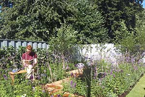 Rolawn helps Young Offenders garden ‘A Place to Think’ scoop Silver at RHS Hampton Court